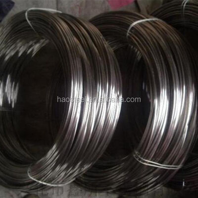 Stainless Steel Wire 304 316 316L 316Ti 309s 310S Soft Bright Matt 0.05-20mm
