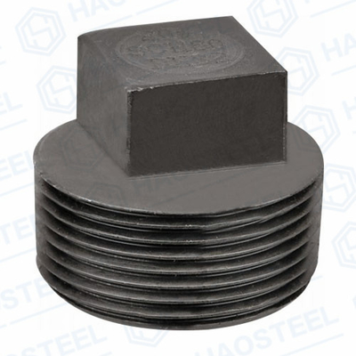 Industrielles Rohr ANSI schmiedete gleiche Form Sockel-Stecker ANSI B16.9
