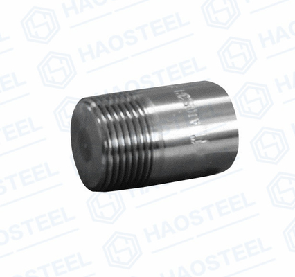 Industrielles Rohr ANSI schmiedete gleiche Form Sockel-Stecker ANSI B16.9